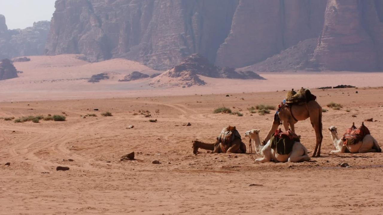 Bedouin Memories Camp Hotel Wadi Rum Ngoại thất bức ảnh